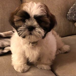 Meet your Posher, Cindy